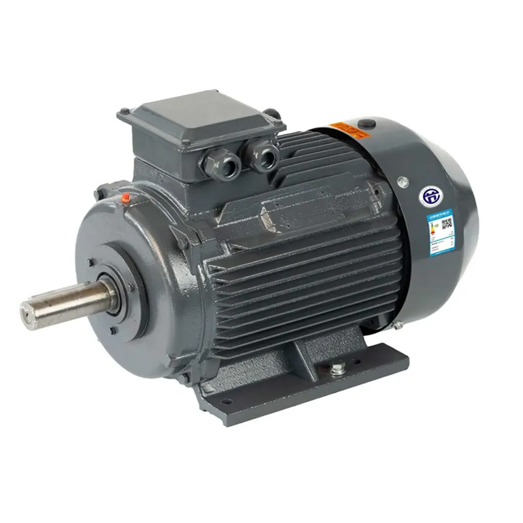 YE3 IE3 Premium Efficiency Three-Phase Induction Motor