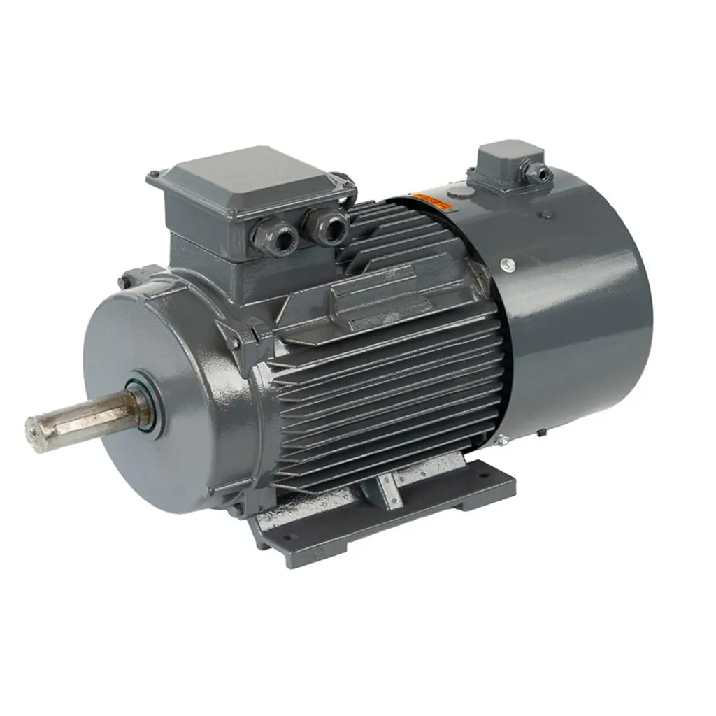YPT3 Inverter-Duty Three-Phase Induction Motor